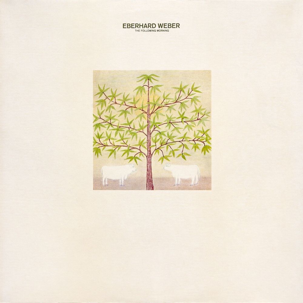 Eberhard Weber - The Following Morning [Vinyl] | ECM Records (ECM 1084)