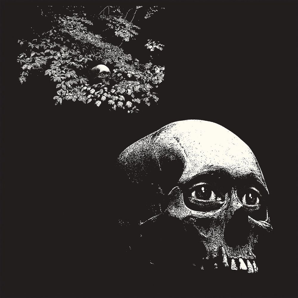 Thee Oh Sees - A Foul Form [Vinyl] | Castle Face (CF 147)