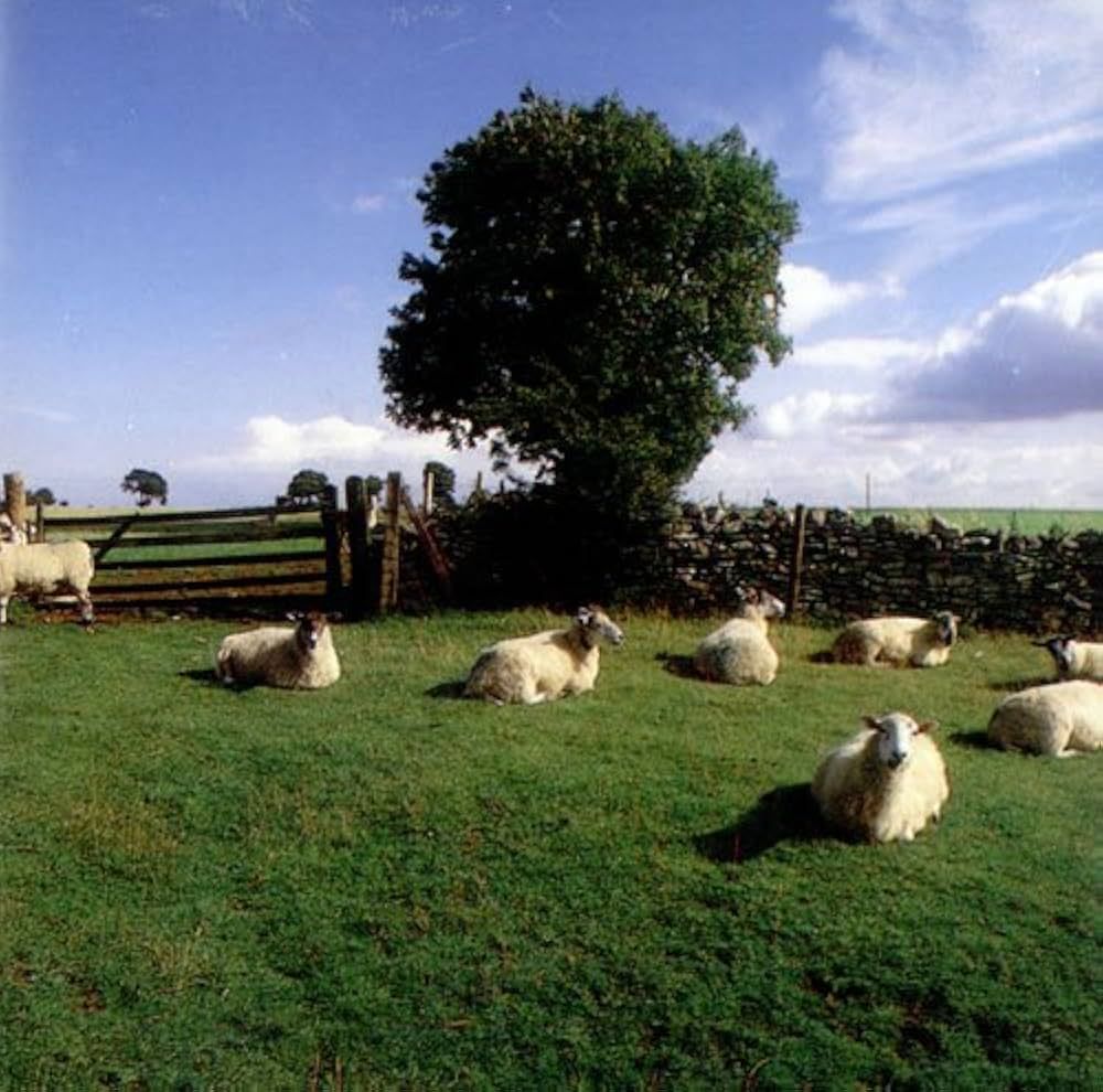 The KLF - Chill Out [CD] | Wax Trax! Records (TVT 7155) - main