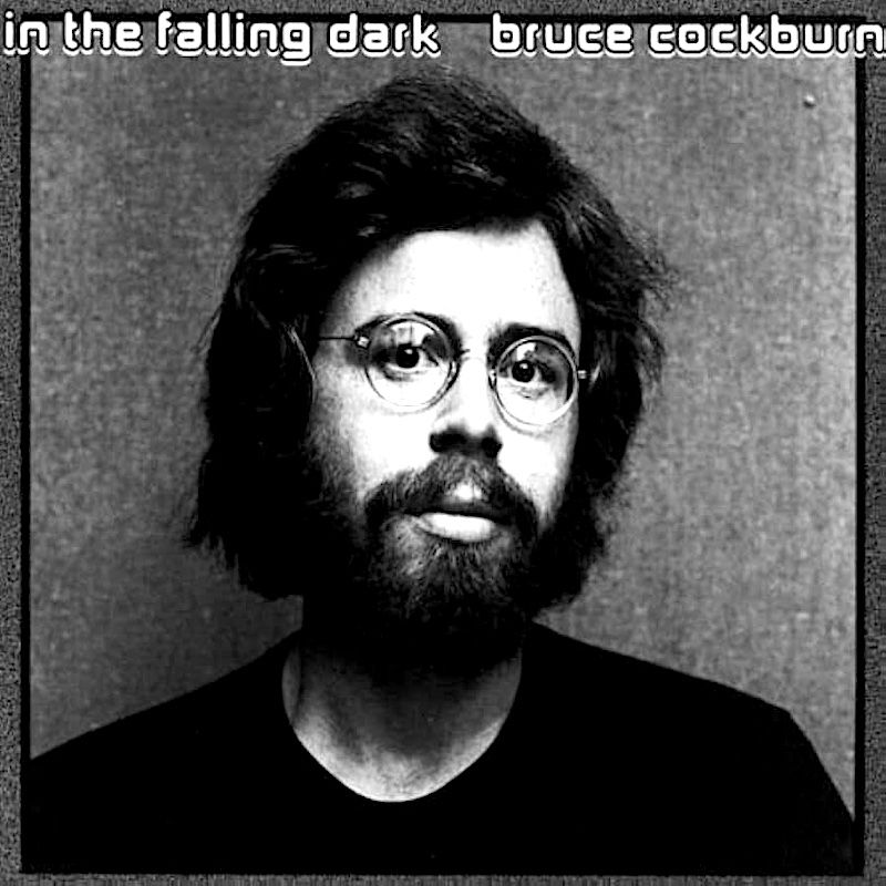 Bruce Cockburn - In The Falling Dark [Vinyl] | True North (TN-26) - main