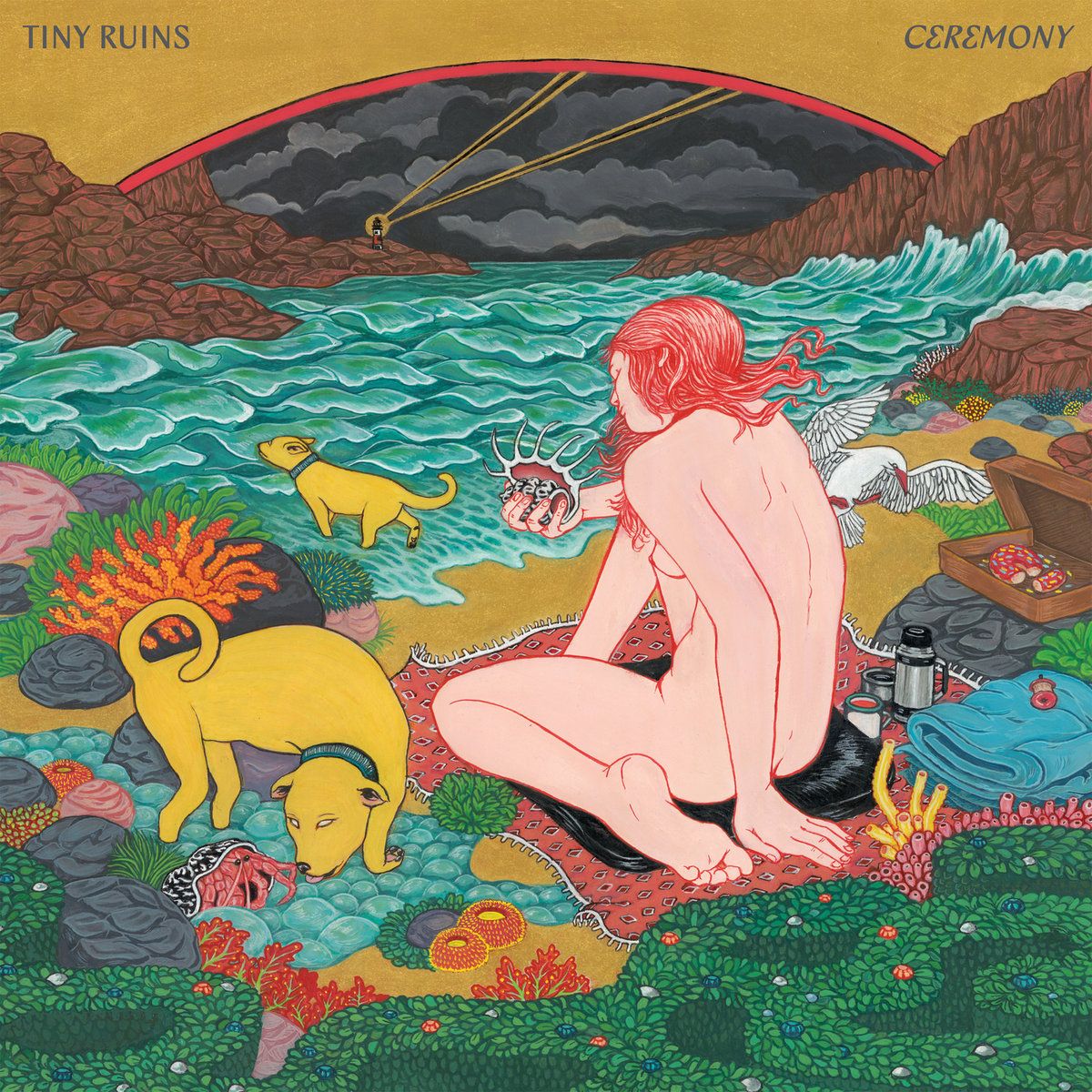 Tiny Ruins - Ceremony [Vinyl] | Ba Da Bing! (BING-199)