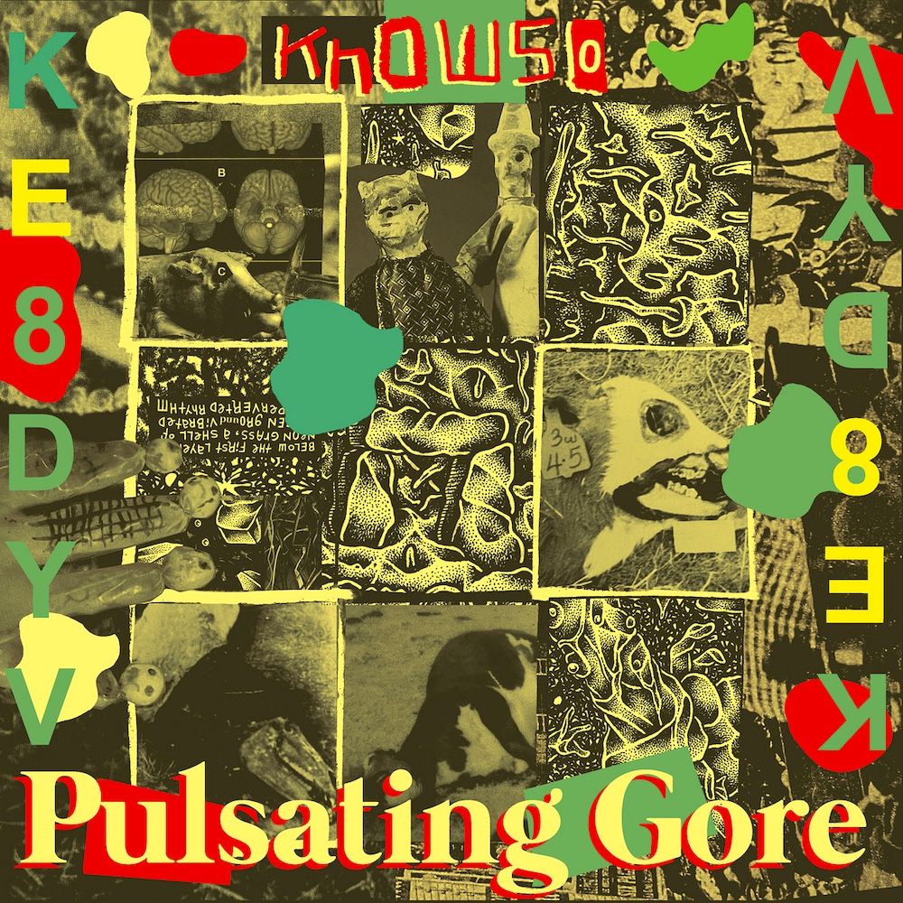 Know-So - Pulsating Gore [Vinyl] | Sorry State (SSR-127)