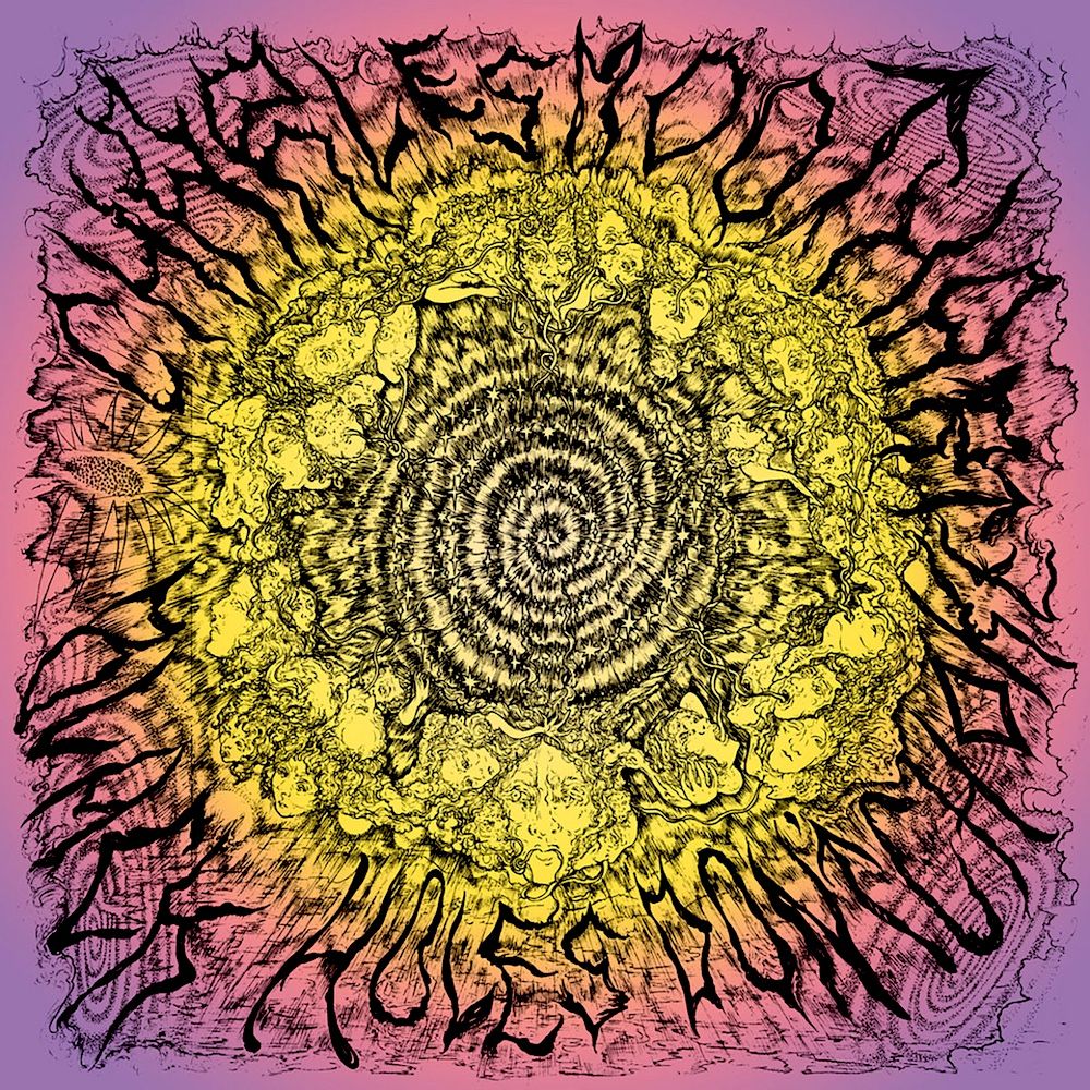 Charles Moothart - Black Holes Don't Choke [Vinyl] | In The Red Recordings (ITR 388)