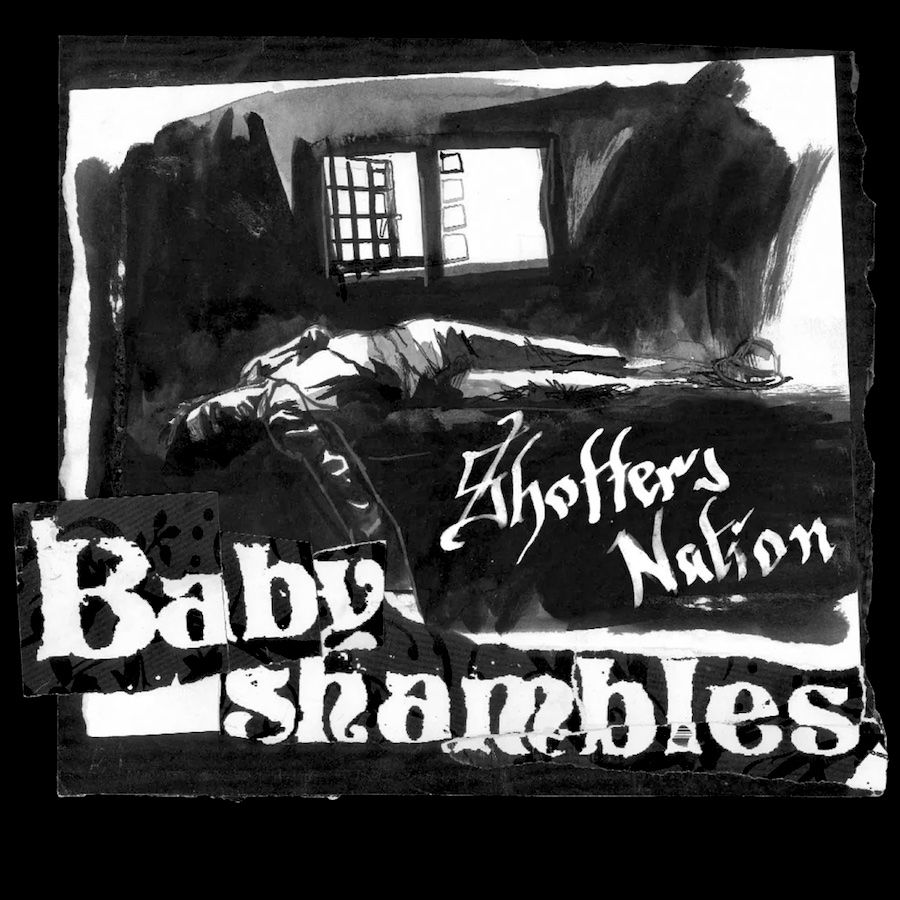 Babyshambles - Shotter's Nation (Limited Edition - Clear Vinyl) [Vinyl] | Parlophone (5021732358677)