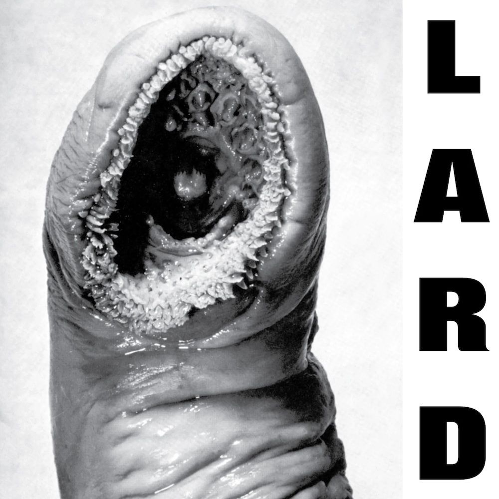 Lard - Power Of Lard EP (White Vinyl) [Vinyl] | Alternative Tentacles (VIRUS 72)