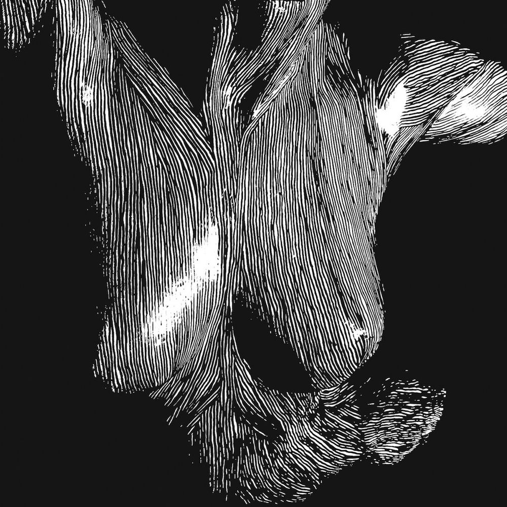 Oceansize - Self Preserved While The Bodies Float Up (LP + CD) [Vinyl] | Superball Music (SBMLP 014) - main