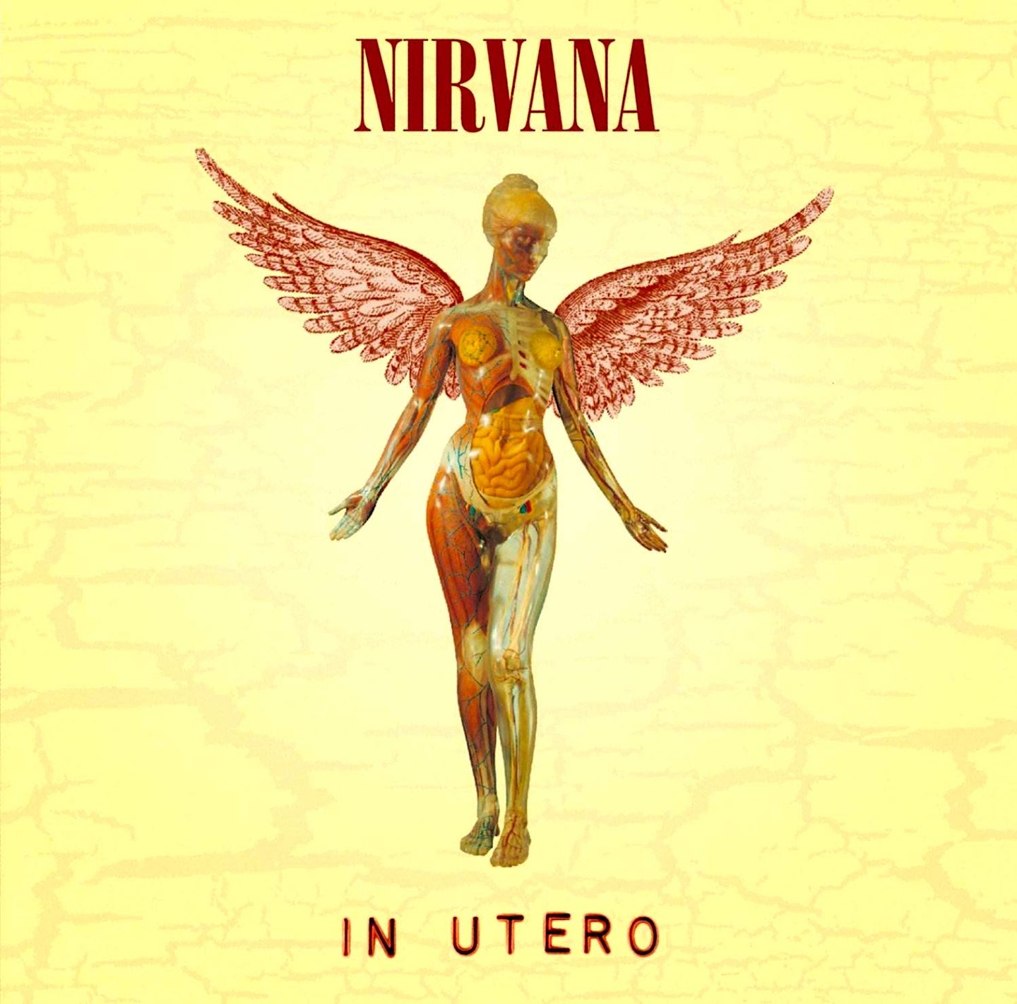Nirvana - In Utero [Vinyl] | DGC (0720642453612)