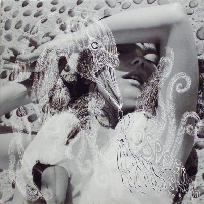 Björk - Vespertine | One Little Independent Records (TPLP101)