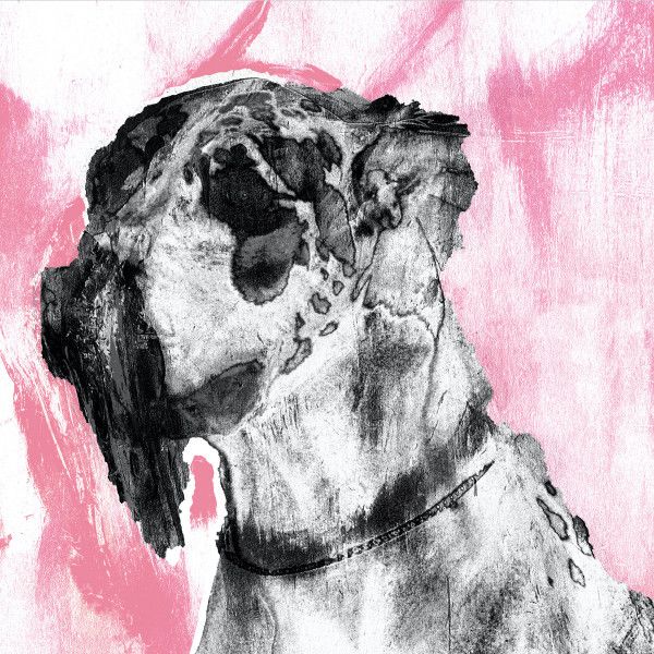 Landrose - Saveur Pey | H Y P E R J U N G L E Recordings (HJR012)
