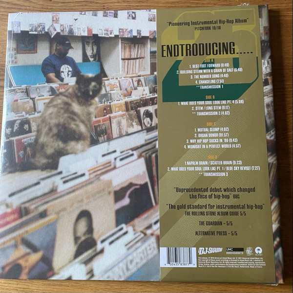Endtroducing – 25