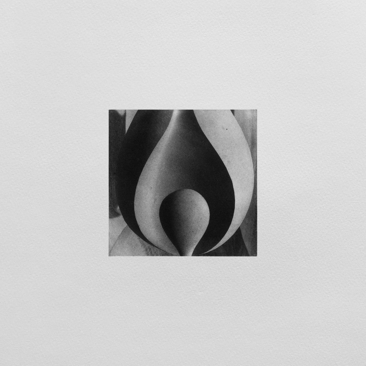 Hame - Almost Home | Noire & Blanche (none)