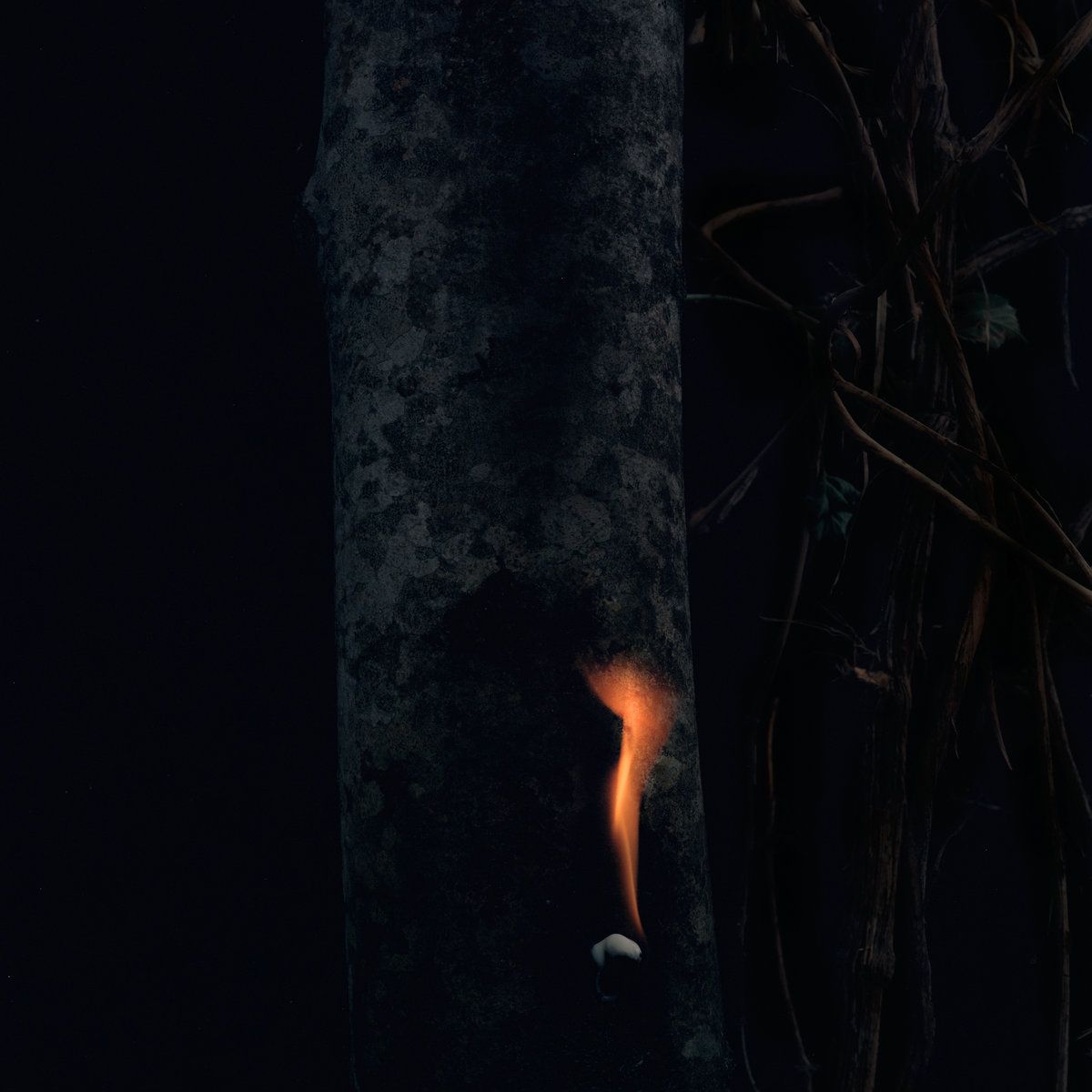 BZDB - Jump Ship, Sit Lean, Be Still, Stand Tall | AD 93 (WHYT081)