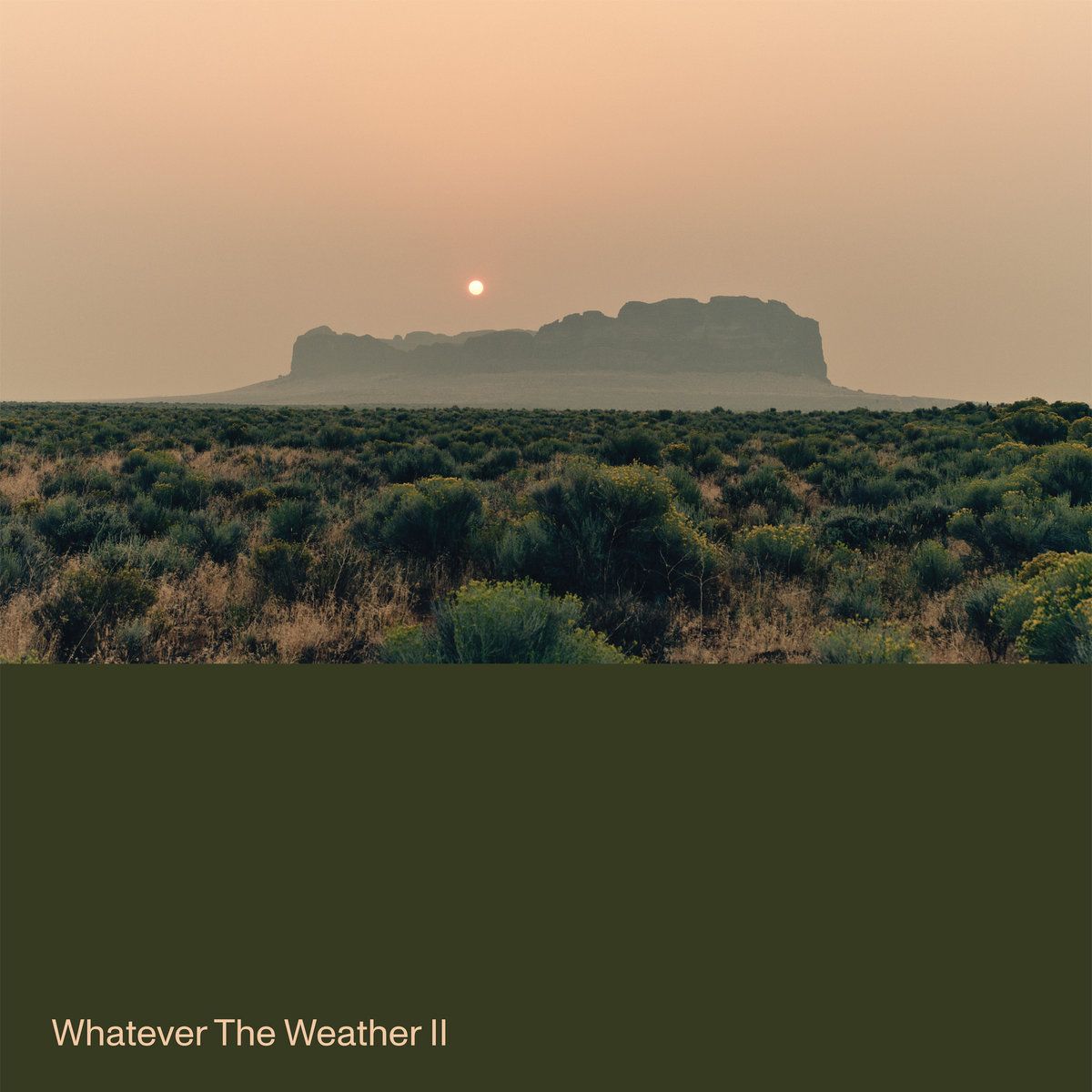 Whatever The Weather - Whatever The Weather II | Ghostly International (GI446LPC1)