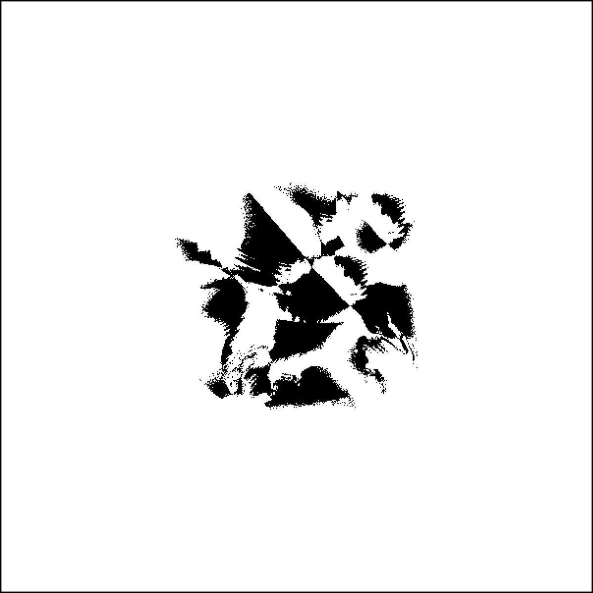 Vehicular - Vehicular | False Aralia (False 05)