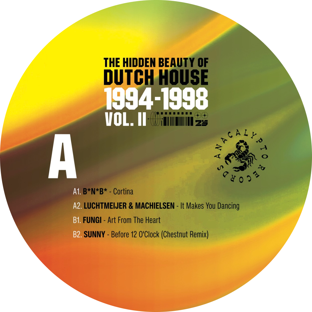 Various - The Hidden Beauty Of Dutch House '94-'98 Vol. II | Anacalypto Records (ANA004) - 9