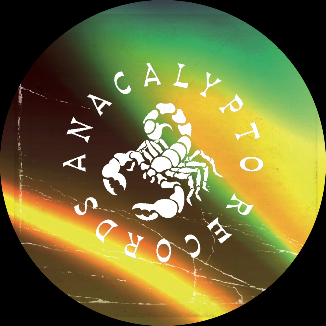 Various - The Hidden Beauty Of Dutch House '94-'98 Vol. II | Anacalypto Records (ANA004) - 4