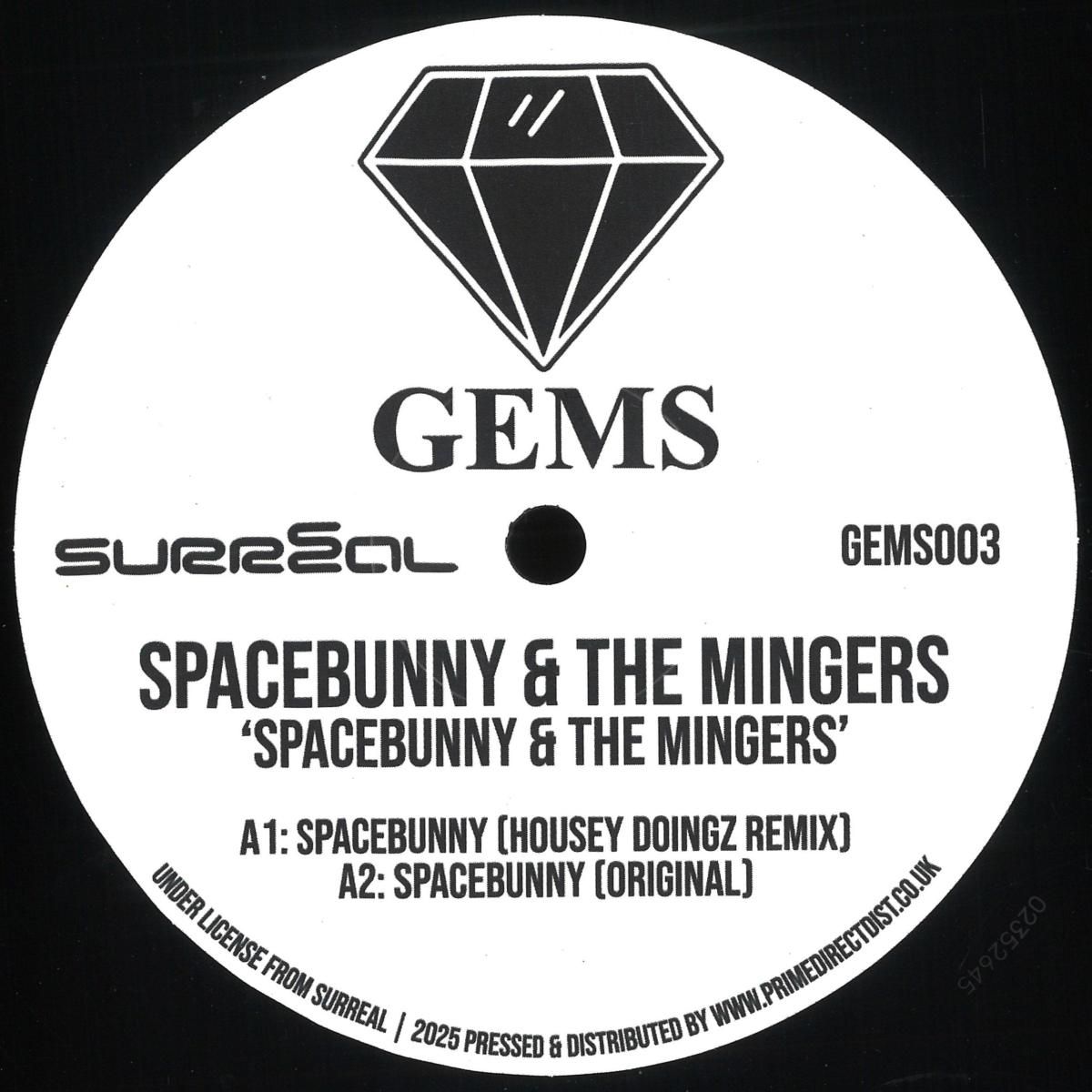 Space Bunny & The Mingers - Spacebunny & The Mingers | Gems (GEMS003)