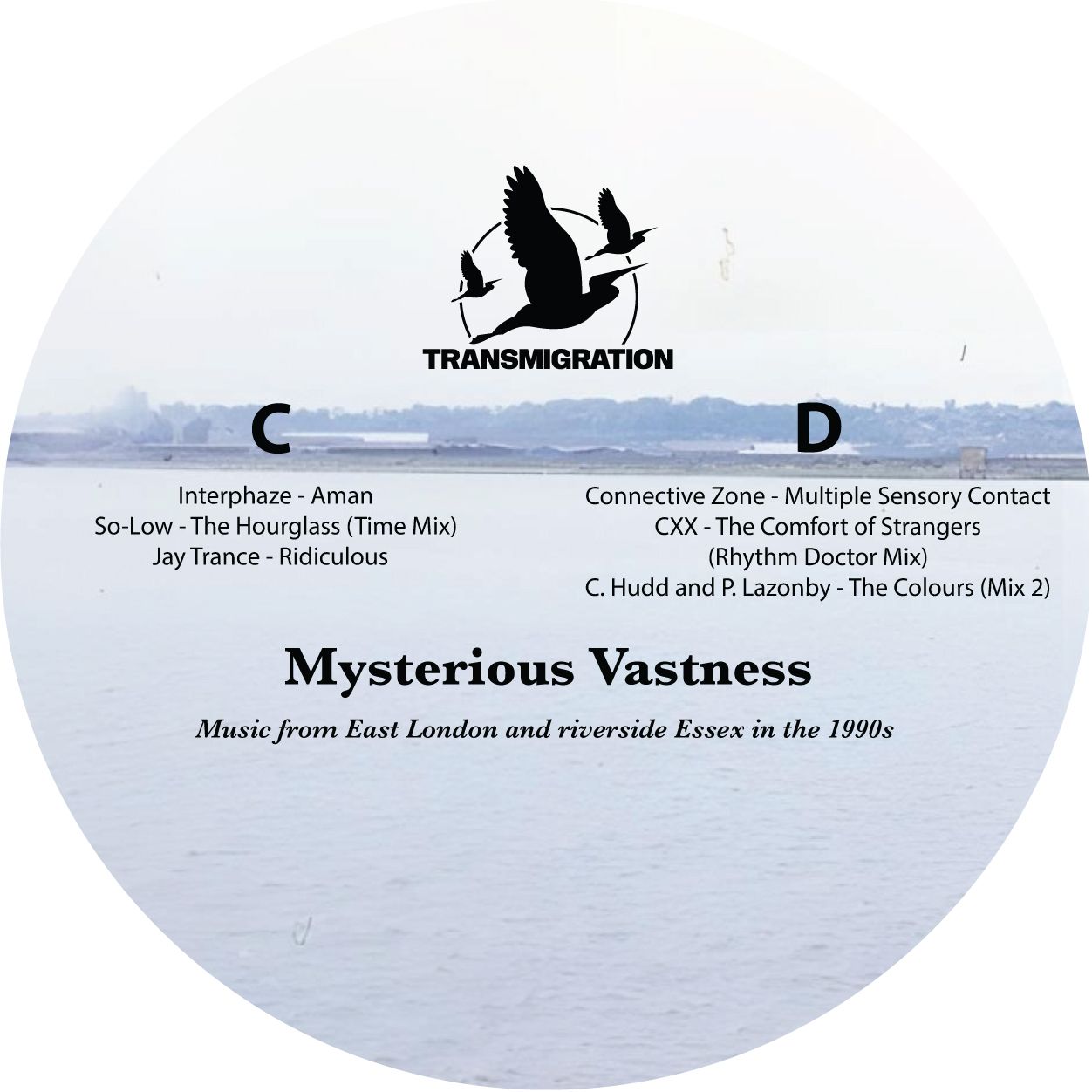 Jane Fitz , David Fogarty - Mysterious Vastness (Pre Order - Shipping 26.01.26) | Transmigration (TM029) - 4