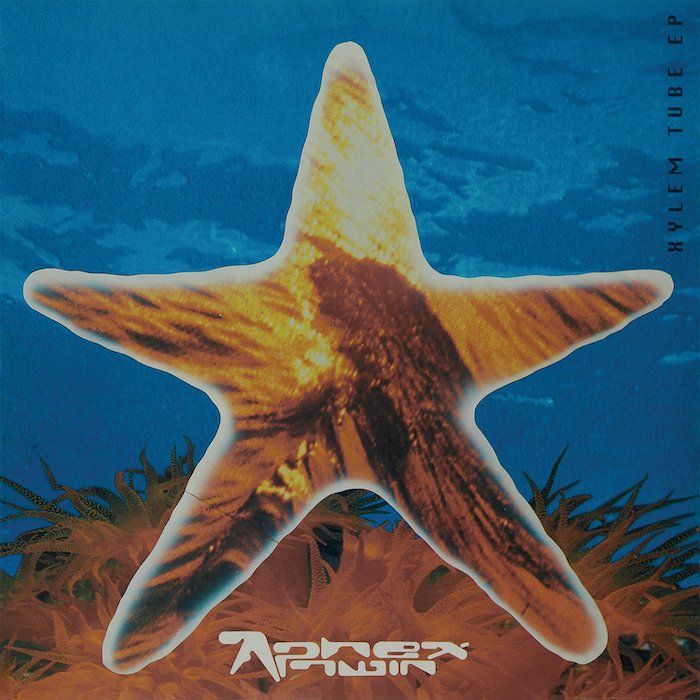 Aphex Twin - Xylem Tube EP | Warp Records (RS9209RP) - main Aphex Twin - Xylem Tube EP | Warp Records (RS9209RP) - main