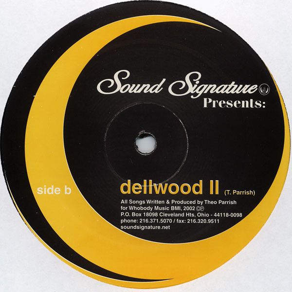 Theo Parrish - Solitary Flight | Sound Signature (SS016) - 2