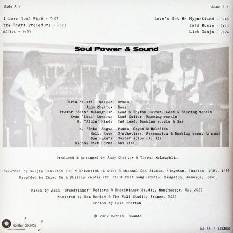 Soul Power & Sound meets Al Breadwinner - In Dub Procedure | Hornin' Sounds (HS-38) - 2