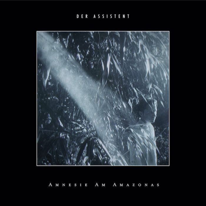 Der Assistent - Amnesie Am Amazonas | Papercup Records (PCR 103LP)