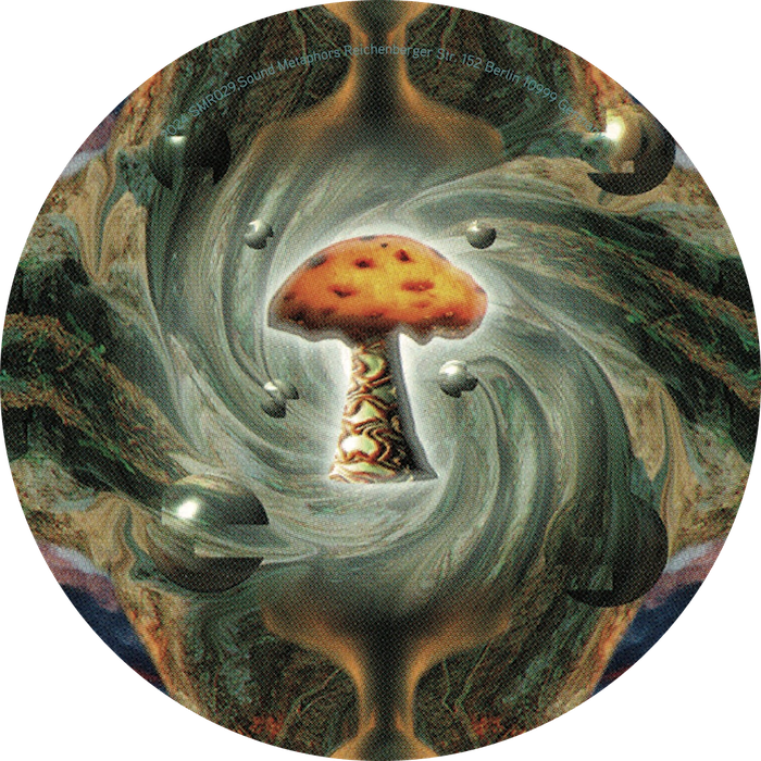 Spacetime Continuum With Terence McKenna - Alien Dreamtime | Sound Metaphors Records (SMR029) - 4