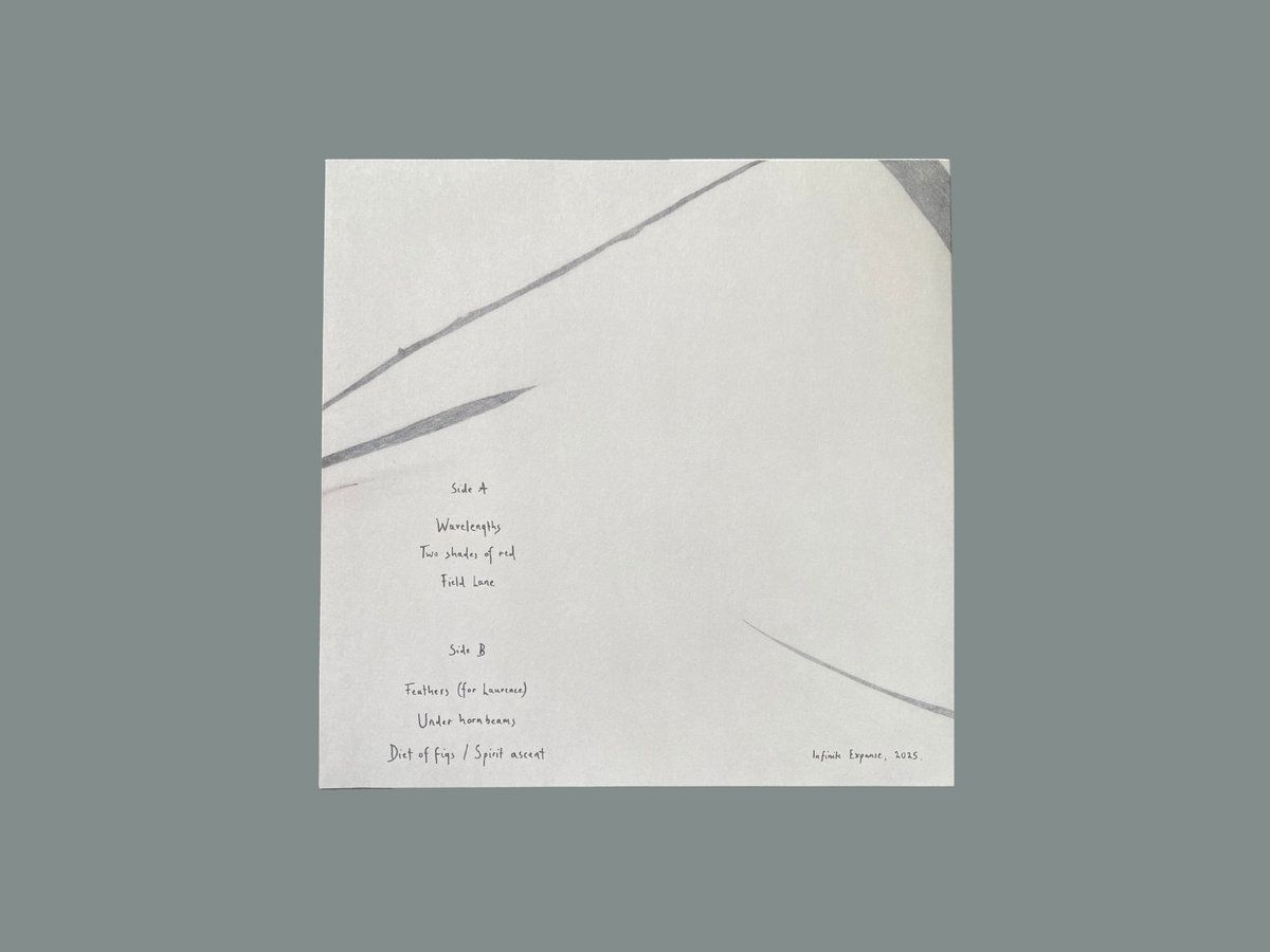 Luke Cowan - Six Places | Infinite Expanse (IE17) - 2