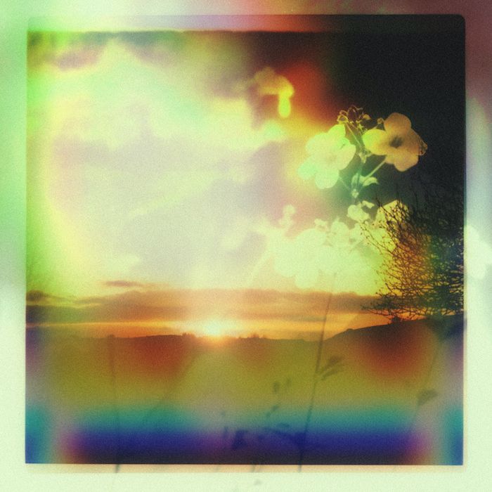 Mantra , Tim Reaper , Decibella - Sage - EP | FabricLive (FL005) - main Mantra , Tim Reaper , Decibella - Sage - EP | FabricLive (FL005) - main