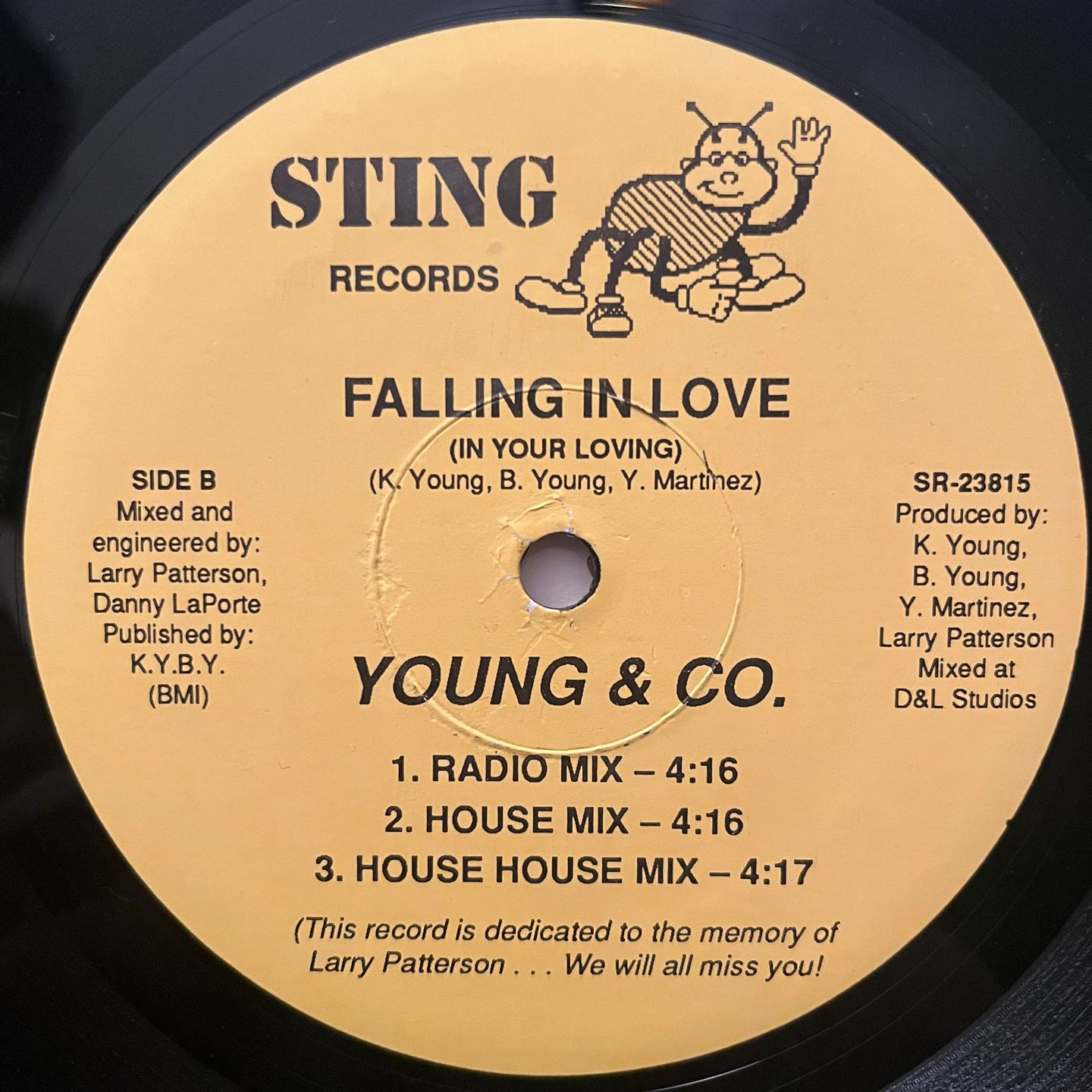Young & Company - Rock Me Rap Me (In Your Loving) | Sting Records (SR-23815) - 2