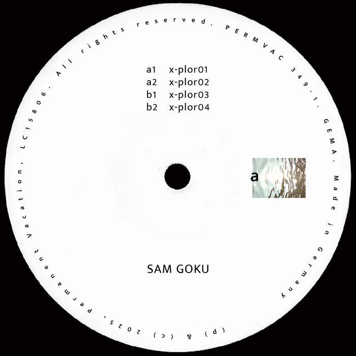 Sam Goku - Sam Goku - Explorations 01 | Permanent Vacation (PERMVAC 349-1) - 2 Sam Goku - Sam Goku - Explorations 01 | Permanent Vacation (PERMVAC 349-1) - 2