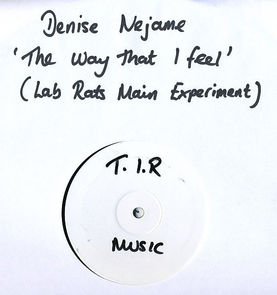 Way That I Feel (Lab Rats Main Experiment)