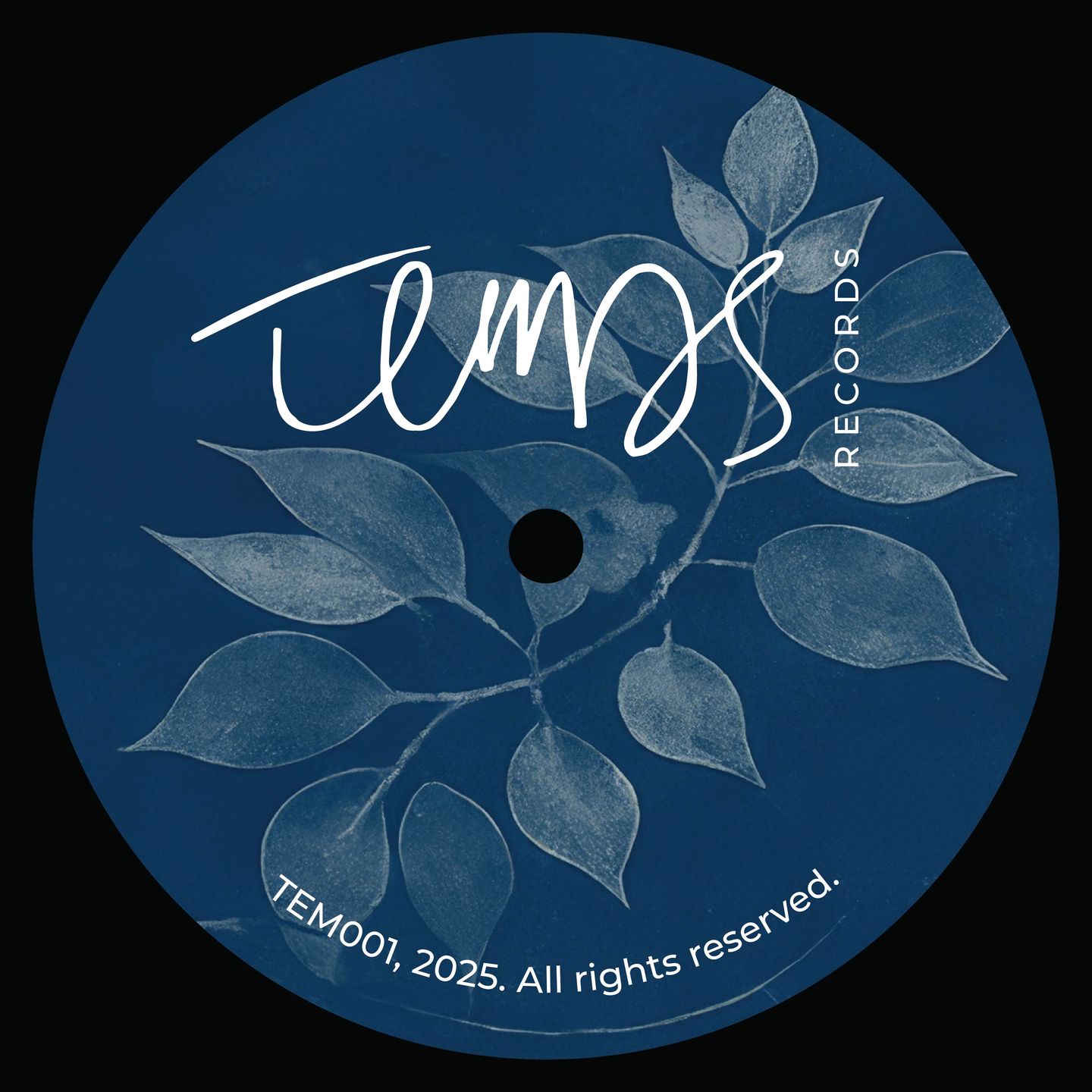 Sara Wual / Flabaire / Paul Cut / Mayan - Transnationality EP