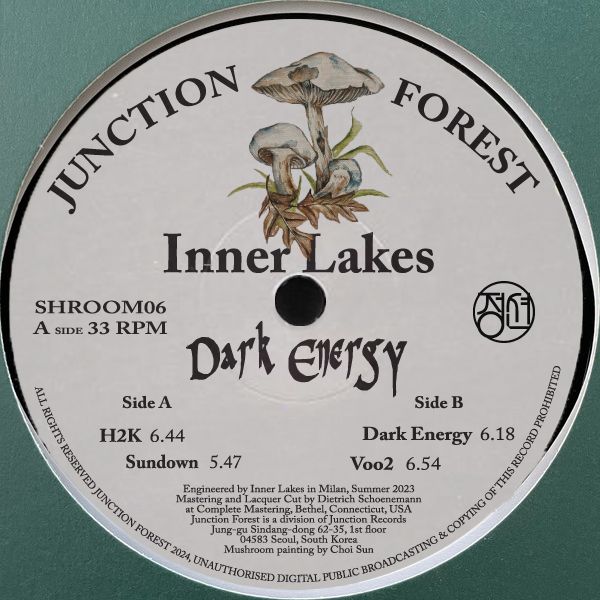 Inner Lakes - Dark Energy | Junction Forest (SHROOM06) - 2 Inner Lakes - Dark Energy | Junction Forest (SHROOM06) - 2