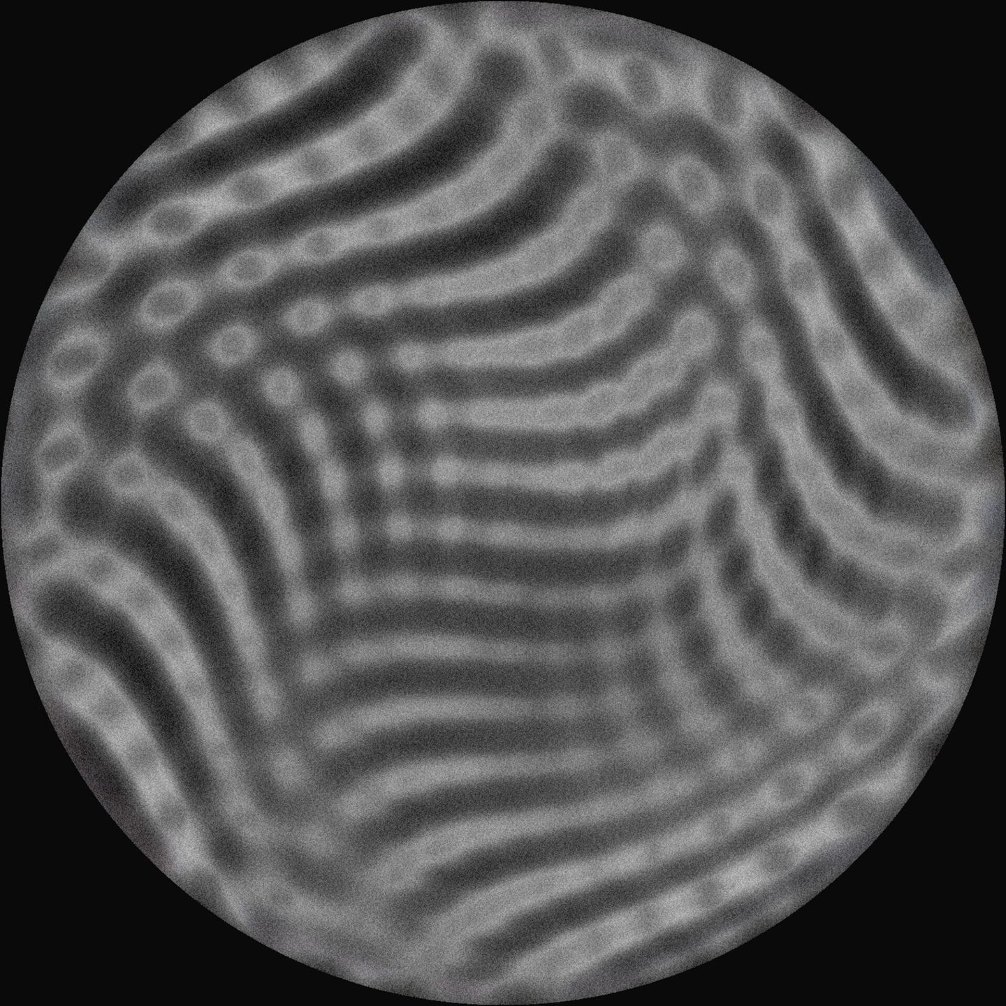 Tadan - Muses | area127 (127AREA005)