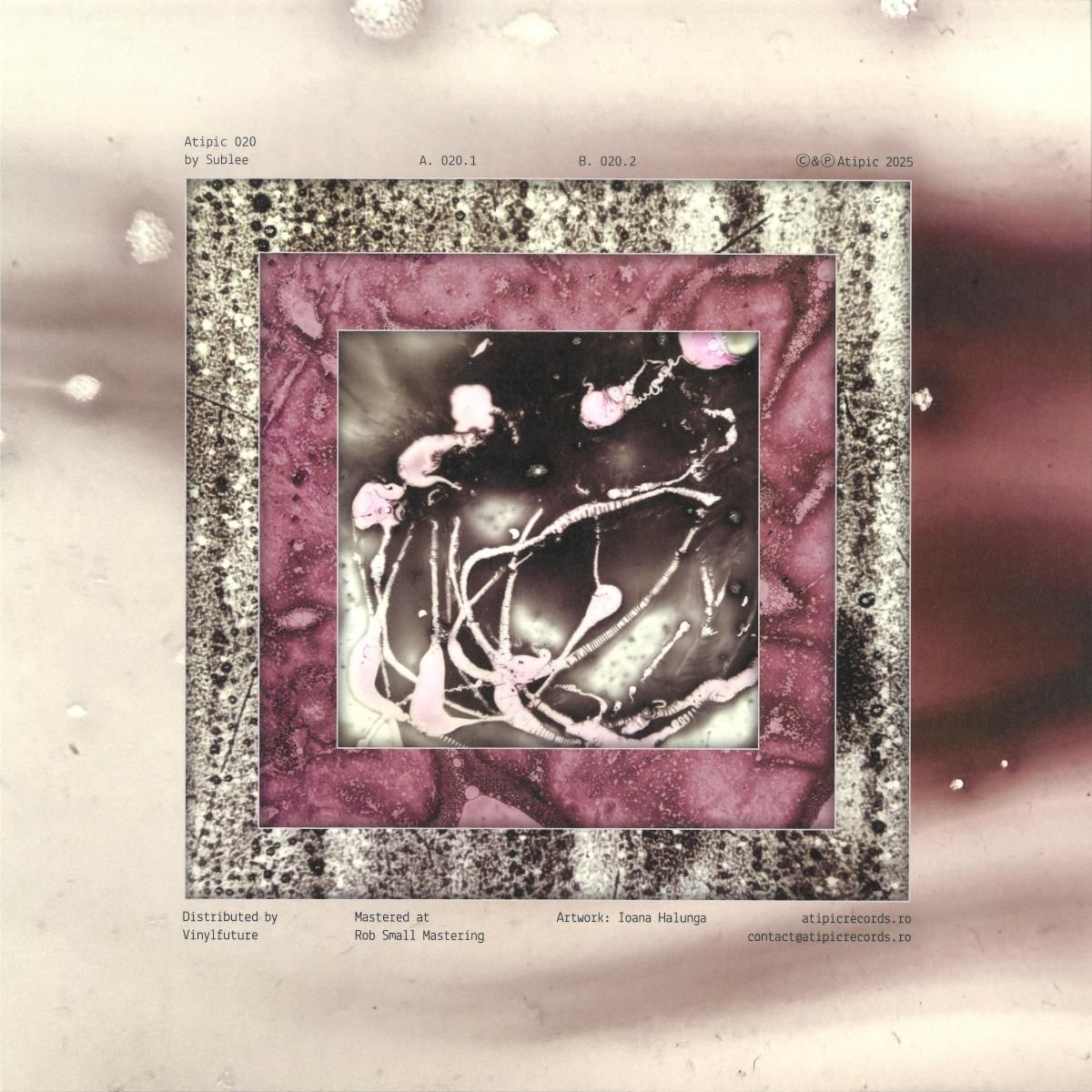Sublee - Atipic 20 | Atipic (ATIPIC020) - 2