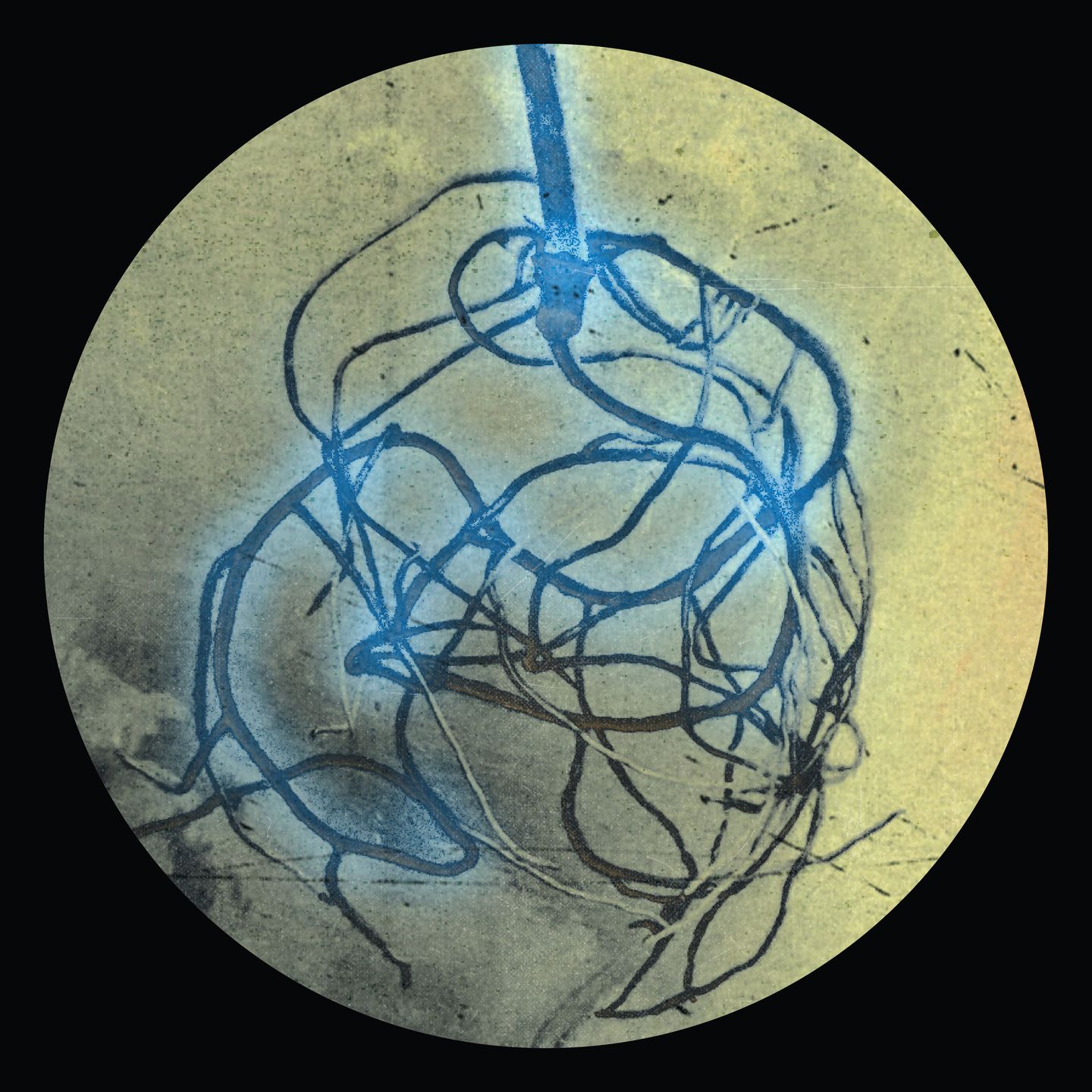 Various Artists - The Roots EP | Zonate (ZON005) - 2