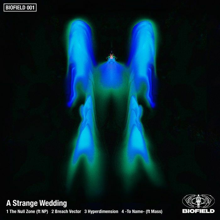 A Strange Wedding - The Null Zone | Biofield (BIOF 001) - main