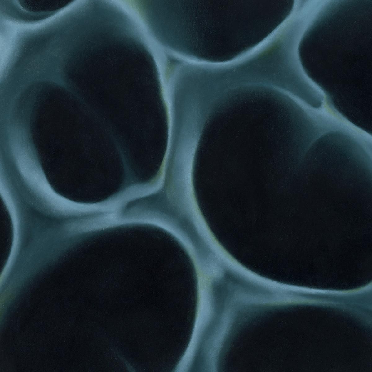 BLNDR - Radiolaria | Hypnus Records (HYPNUS045) - main