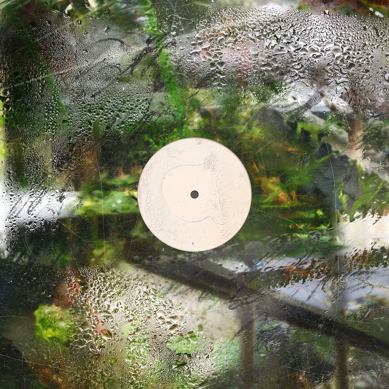 OK EG - Silent Green | Animalia (CIRRUS02) - main