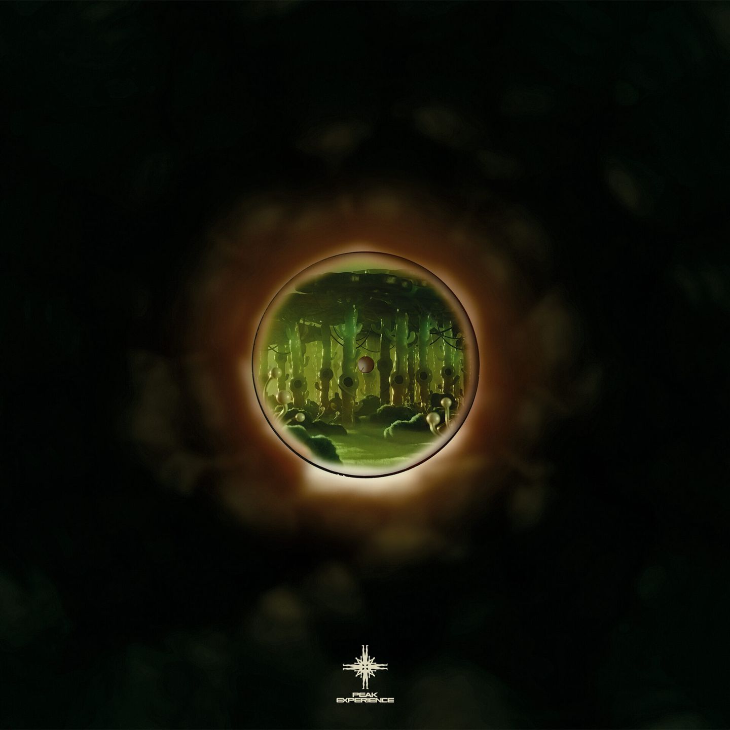 Alvar - The Mist | Peak Experience (XP-00003) - 5