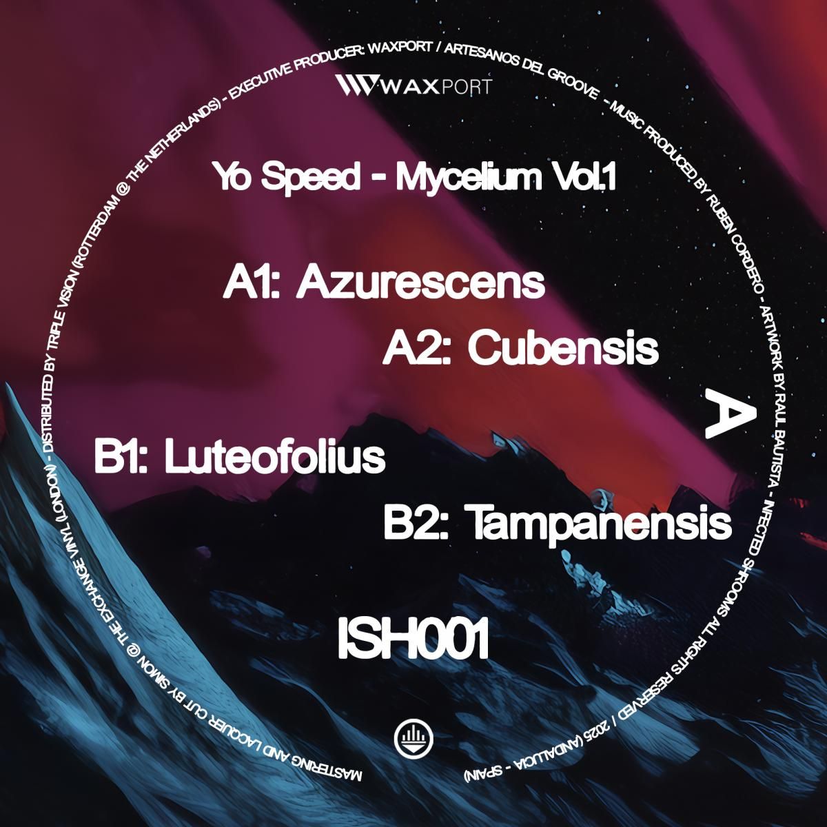 Yo Speed - Mycelium Vol.1 | Infected Shrooms (ISH001) - 2