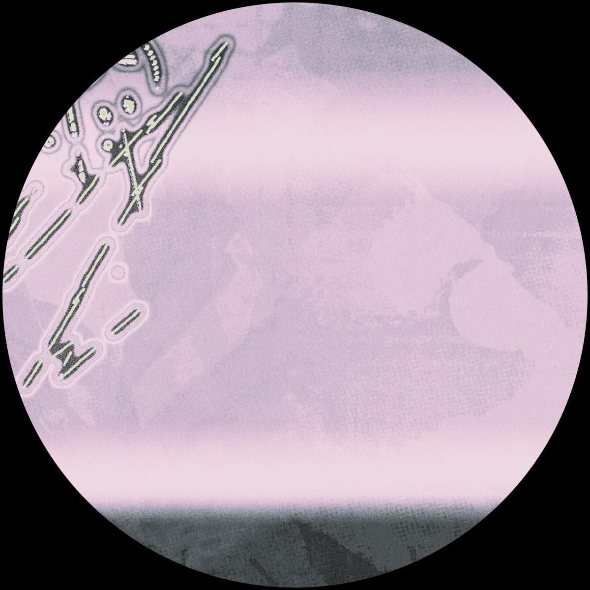 Stones Taro - Foglore #1 | Stones Taro (STNTR001) - 2