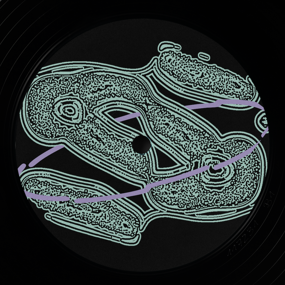 Seliga - Lush | Trance Atlantyk (TA009) - 3 Seliga - Lush | Trance Atlantyk (TA009) - 3