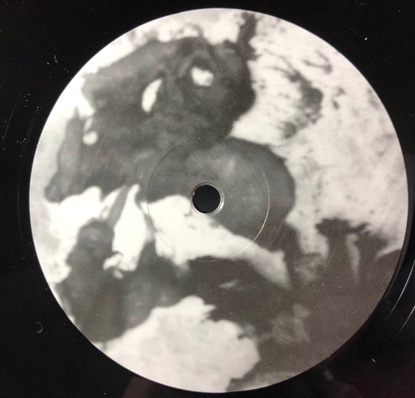 Land Of Kush , The Egyptian Light Orchestra - Monogamy | Constellation (CST066-1) - 4