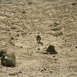 Ben Howard - Noonday Dream | Island Records (6748941) - main