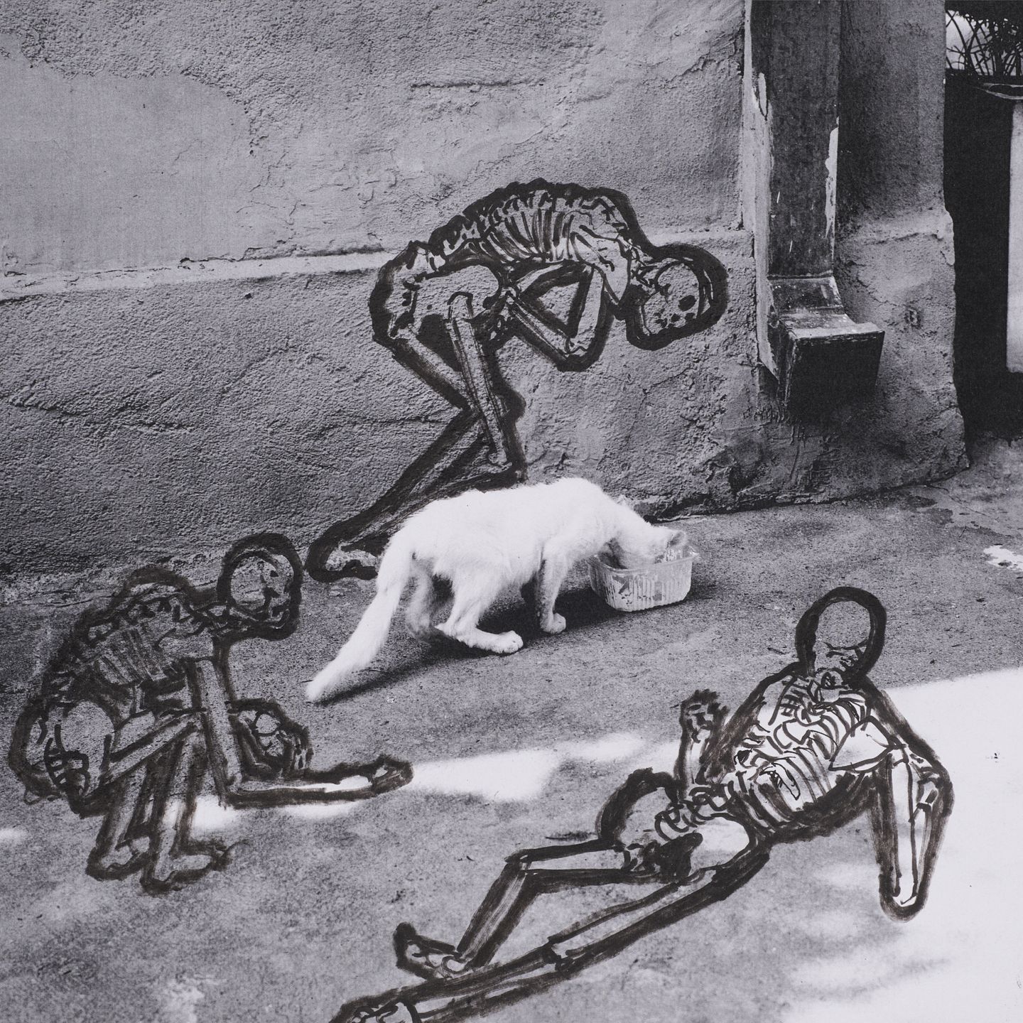 Evols - The Ephemeral | Black Train Records (BT 003) - main Evols - The Ephemeral | Black Train Records (BT 003) - main