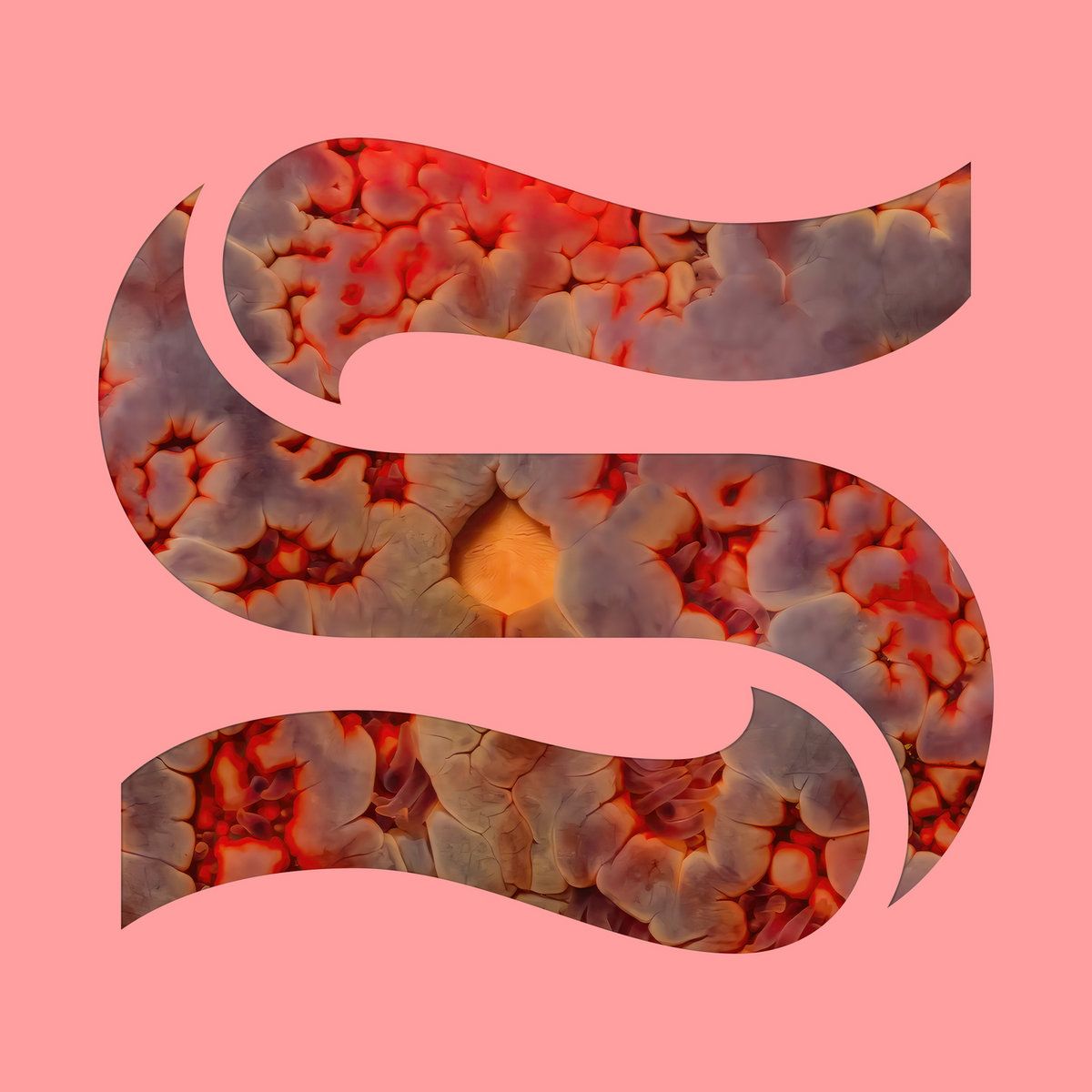 Kaitlyn Aurelia Smith & Joe Goddard - Neptunes EP | Smugglers Way () - main Kaitlyn Aurelia Smith & Joe Goddard - Neptunes EP | Smugglers Way () - main