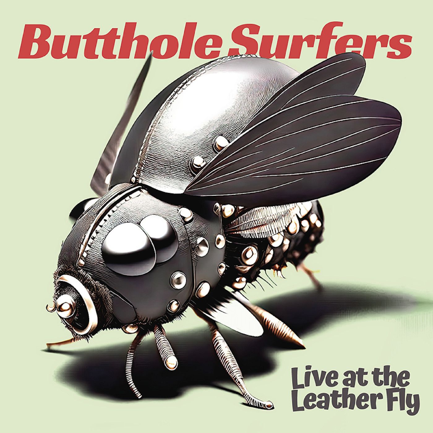 Butthole Surfers - Live at the Leather Fly (OPAQUE PINK VINYL) | Sunset Blvd Records ()