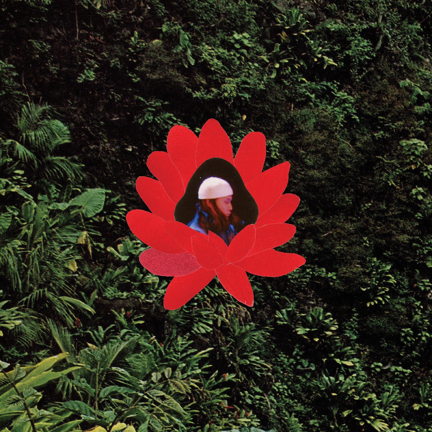 Lionmilk - When The Flowers Bloom | Stones Throw Records ()